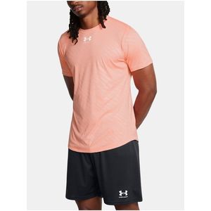 Pánské tričko Under Armour UA M's Ch. Pro Train SS PRNT-ORG obraz