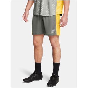 Pánské kraťasy Under Armour UA M's Ch. Knit Short-GRN obraz