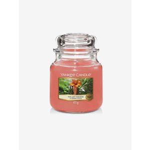 Yankee Candle The Last Paradise (411 g) Home Růžová obraz