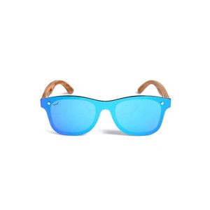 VUCH Relish Blue obraz