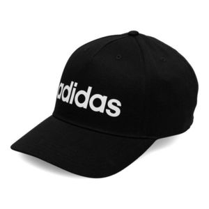 Kšiltovky adidas DAILY CAP HT6356 obraz