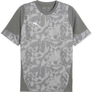 Puma TEAMCUP TRAINING JERSEY TEE Pánský dres, šedá, velikost obraz