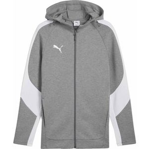Puma TEAMEVOSTRIPE HOODED JACKET Pánská bunda, šedá, velikost obraz