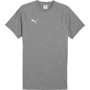 Puma TEAMEVOSTRIPE TEE Pánské triko, šedá, velikost obraz
