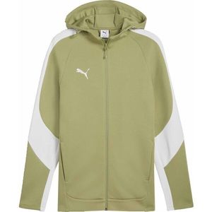 Puma TEAMEVOSTRIPE HOODED JACKET Pánská bunda, zelená, velikost obraz