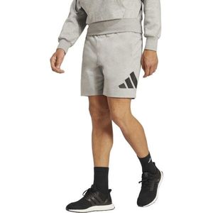 adidas BIG LOGO SHORTS Pánské kraťasy, šedá, velikost obraz