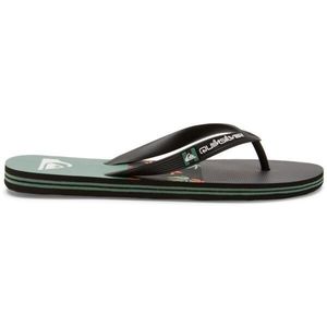 Quiksilver MOLOKAI STRIPE Pánské žabky, černá, velikost 41 obraz
