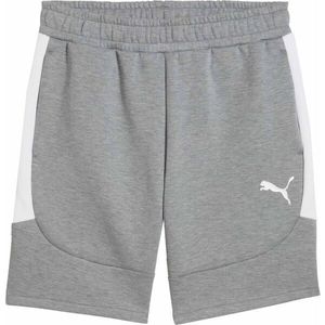 Puma TEAMEVOSTRIPE SHORTS Pánské šortky, šedá, velikost obraz