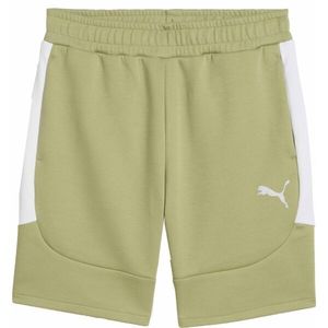 Puma TEAMEVOSTRIPE SHORTS Pánské šortky, khaki, velikost obraz