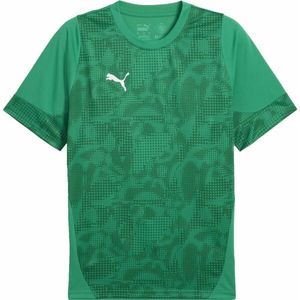 Puma TEAMCUP TRAINING JERSEY TEE Pánský dres, zelená, velikost obraz